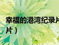 幸福的港湾纪录片百度百科（幸福的港湾纪录片）