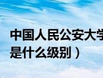 中国人民公安大学教授是什么级别（大学教授是什么级别）