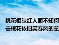 桃花相映红人面不知何处去桃花依旧笑春风（人面不知何处去桃花依旧笑春风的意思）