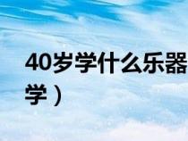 40岁学什么乐器 没基础（什么乐器最容易自学）