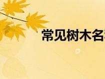 常见树木名称大全（常见树木）