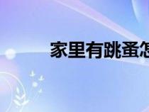 家里有跳蚤怎么办能除根（家里）
