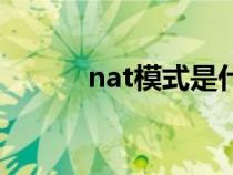 nat模式是什么意思（nat模式）