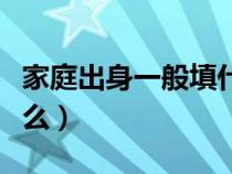 家庭出身一般填什么职业（家庭出身一般填什么）