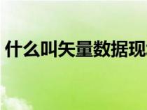 什么叫矢量数据现场运用（什么叫矢量数据）