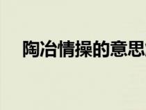 陶冶情操的意思解释（陶冶情操的意思）