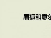 盾狐和意尔康哪个好（盾狐）