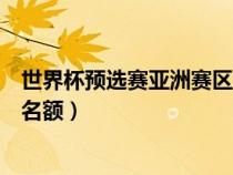 世界杯预选赛亚洲赛区几个名额（世界杯预选赛亚洲区几个名额）