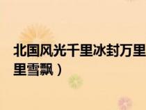 北国风光千里冰封万里雪飘艺术效果（北国风光千里冰封万里雪飘）