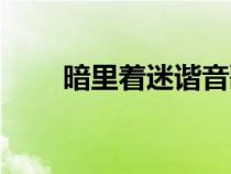 暗里着迷谐音歌词（暗里着迷谐音）