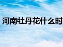 河南牡丹花什么时候开（牡丹花什么时候开）