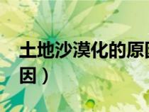 土地沙漠化的原因有哪些?（土地沙漠化的原因）