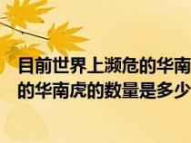 目前世界上濒危的华南虎的数量是多少只（目前世界上濒危的华南虎的数量是多少）