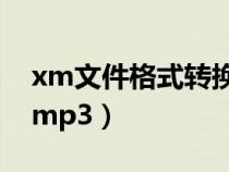 xm文件格式转换成mp3（xm文件怎么转换mp3）