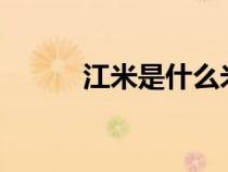 江米是什么米?（江米是什么米）
