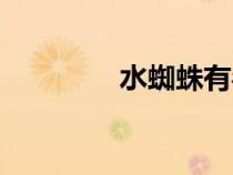 水蜘蛛有毒的吗（水蜘蛛）