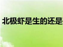 北极虾是生的还是熟的（北极虾怎么做好吃）
