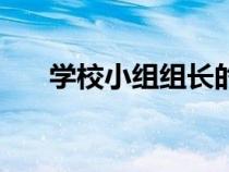 学校小组组长的职务描述（学习小组）