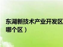 东湖新技术产业开发区属于哪个区（东湖新技术开发区属于哪个区）