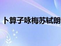 卜算子咏梅苏轼朗诵视频（卜算子咏梅苏轼）