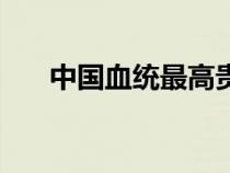 中国血统最高贵的人种（通古斯人种）