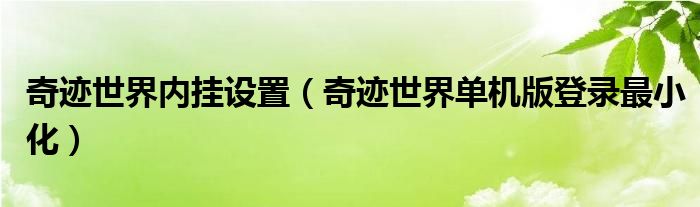 奇迹世界内挂设置（奇迹世界单机版登录最小化）