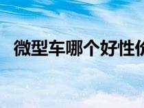 微型车哪个好性价比高（微型汽车哪个好）