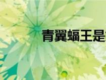 青翼蝠王是好人吗（青翼蝠王）