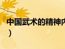 中国武术的精神内涵是什么（中国武术的精神）