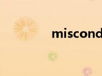misconduct翻译（Misc）
