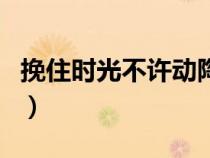 挽住时光不许动陶好和北子（挽住时光不许动）