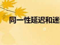 同一性延迟和迷乱的区别（同一性延迟）
