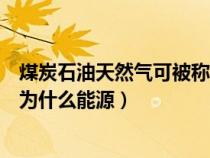煤炭石油天然气可被称为什么能源（煤炭石油天然气被统称为什么能源）