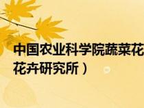 中国农业科学院蔬菜花卉研究所所长（中国农业科学院蔬菜花卉研究所）