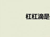 杠杠滴是什么意思（杠杠）