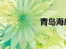 青岛海底隧道怎么观光