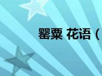 罂粟 花语（罂粟花花语是什么）