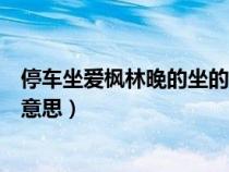 停车坐爱枫林晚的坐的含义（停车坐爱枫林晚的坐爱是什么意思）