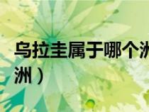 乌拉圭属于哪个洲的国家啊（乌拉圭属于哪个洲）