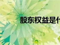 股东权益是什么意思（股东权益）