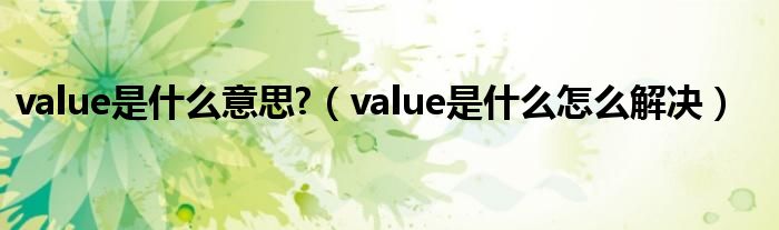 value是什么意思?（value是什么怎么解决）