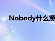 Nobody什么意思（nobody什么意思）