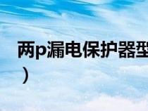 两p漏电保护器型号规格表（漏电保护器型号）