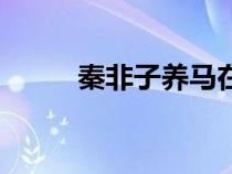 秦非子养马在今天哪里（秦非子）