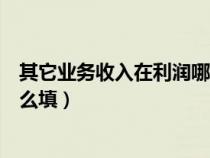 其它业务收入在利润哪个项目（其他业务收入在利润表中怎么填）