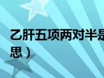 乙肝五项两对半是什么意思（两对半是什么意思）