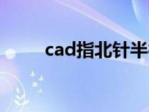 cad指北针半径多少（cad指北针）