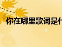 你在哪里歌词是什么歌（你会在哪里歌词）