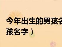 今年出生的男孩名字有教程吗（今年出生的男孩名字）