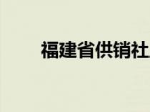 福建省供销社主任（福建省供销社）